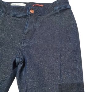 PILCRO Anthropologie Glitter Denim Jeans size 26 Indigo sparkle Jegging